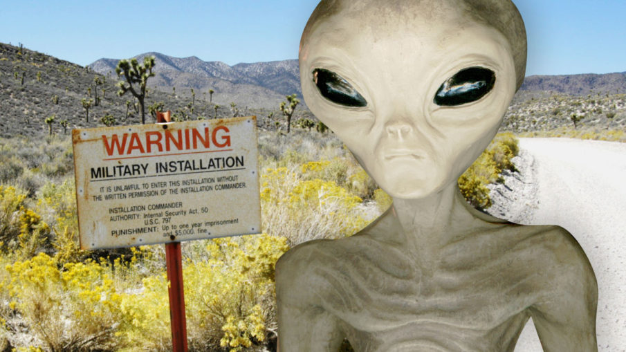 Alien in Area 51