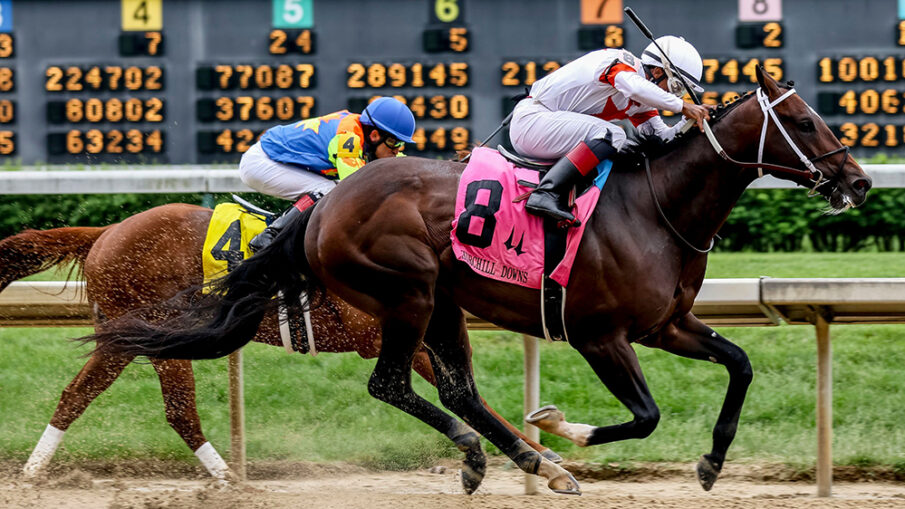 3 Things to Know Before you go Betting on Horse Racing