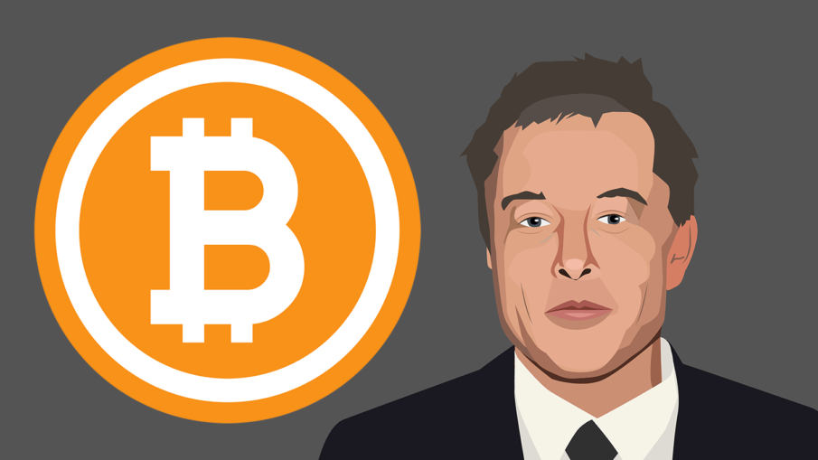Why Bitcoin Jumped After Elon Musk Twitter Bio Update ...